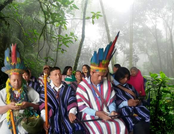 Putumayo