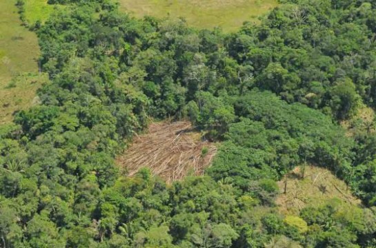 deforestacion_dudosa