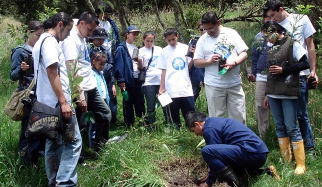 Capacitación en siembra