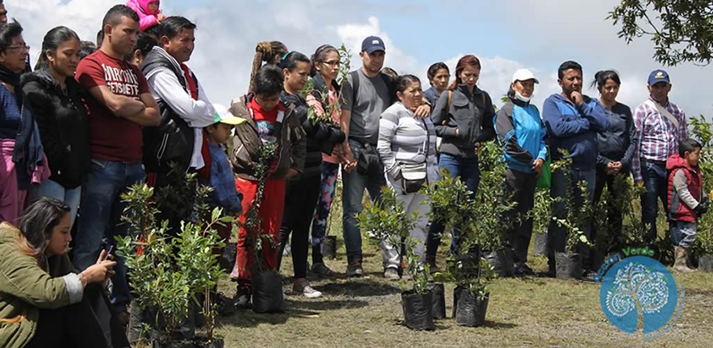 sembrar árboles en Colombia