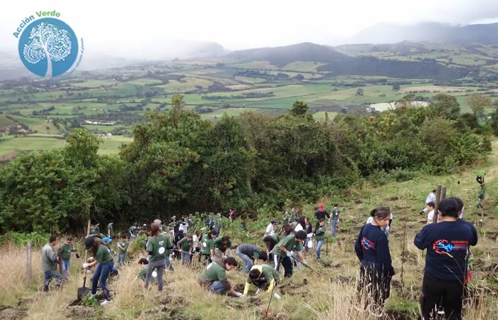 Sembrar árboles en Colombia