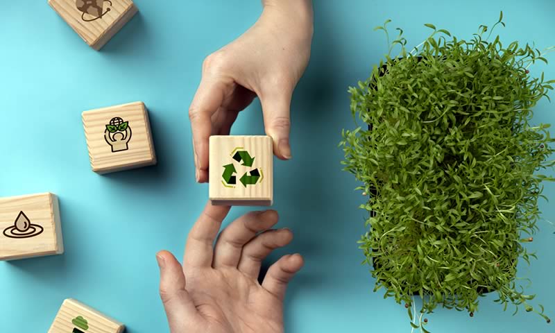 10 Formas de Cuidar el Medio Ambiente:  ¡Manos a la Obra, empresari@s!