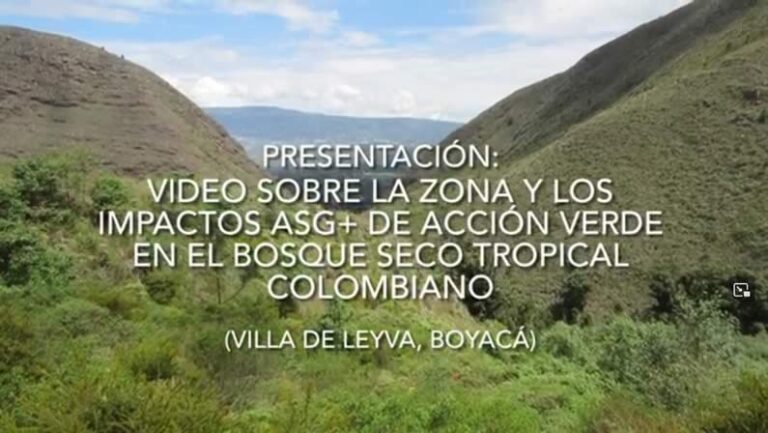 Reforestación en Villa de Leyva: Protegiendo el Agua y la Vida en la Cuenca de la Quebrada Chaina