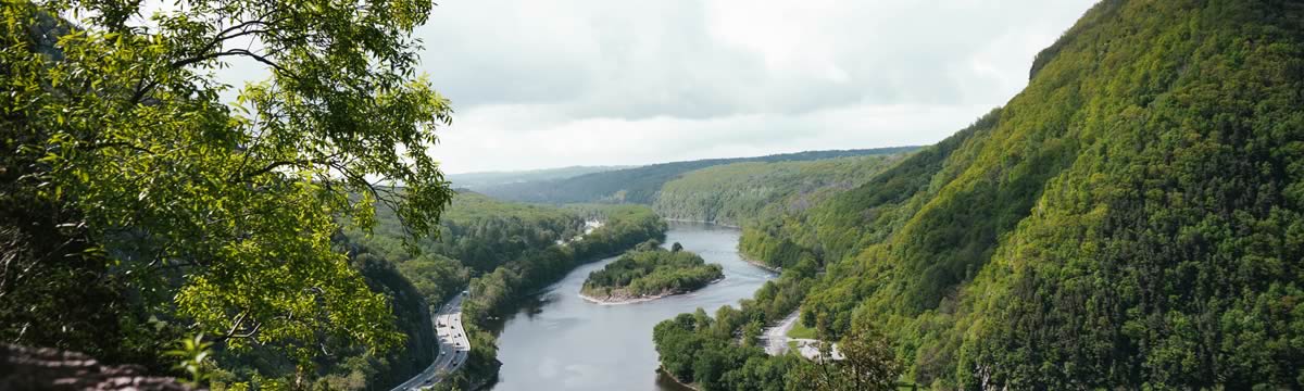Combatir el Cambio Climático