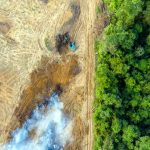 Vista aérea de una zona deforestada con maquinaria pesada junto a un bosque denso, evidenciando la expansión de la deforestación