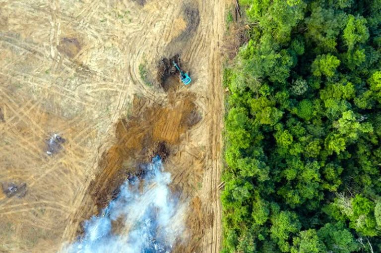 La batalla contra la deforestación en el Amazonas se gana con satélites