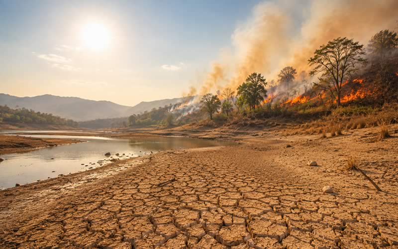 Fenómeno del Niño en Colombia: calor extremo, sequías e incendios amenazan el futuro Fenómeno del Niño en Colombia: calor extremo, sequías e incendios amenazan el futuro