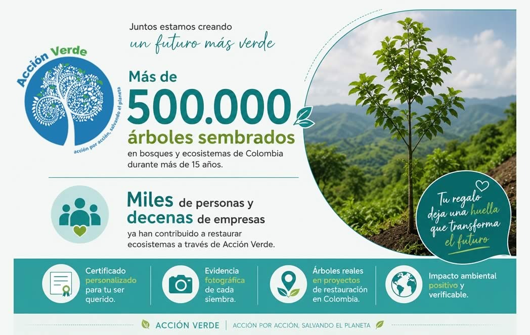 Acción Verde mostrando más de 500.000 árboles sembrados en Colombia durante más de 15 años, con impacto ambiental positivo, restauración de ecosistemas y participación de miles de personas y empresas